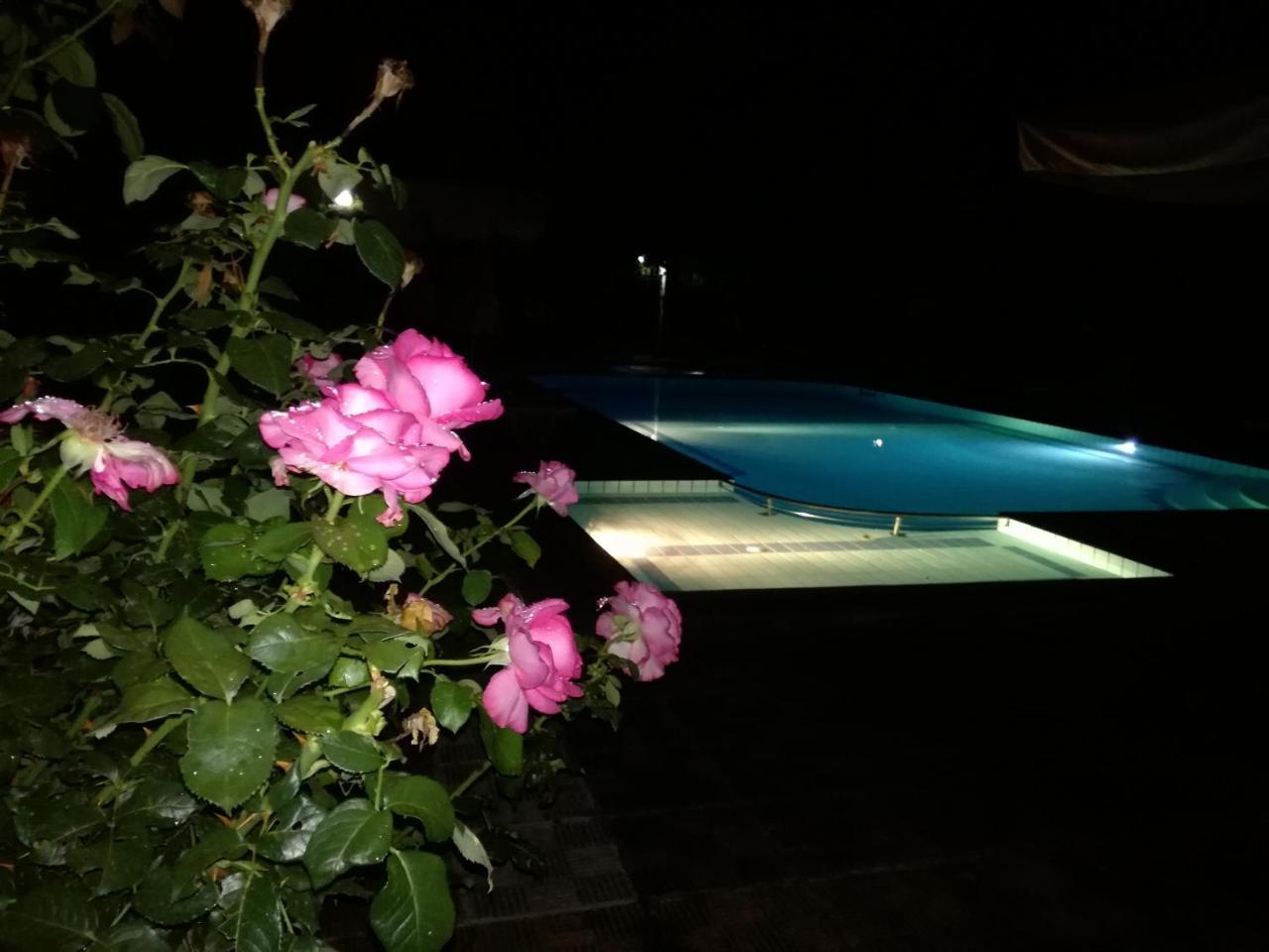 Prespa Resort & Spa Platy  Ngoại thất bức ảnh